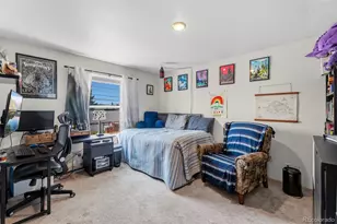 101 S Maple St, Leadville, CO 80461 - Photo 22