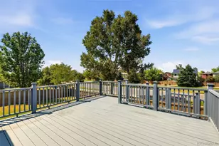 6155 Medford Ct, Castle Rock, CO 80104 - Photo 42