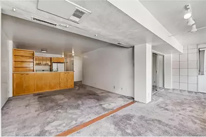 1223 Race Street #203, Denver, CO 80206 - Photo 8