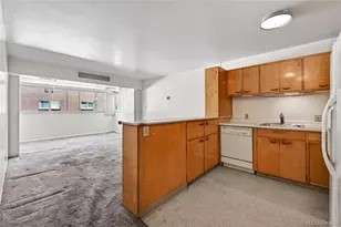 1223 Race St, Denver, CO 80206 - Photo 6
