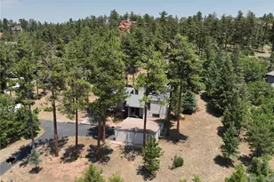 4751 Red Rock Dr, Larkspur, CO 80118 - Photo 40