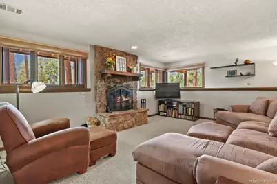 4751 Red Rock Drive, Larkspur, CO 80118 - Photo 24