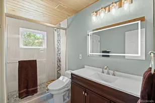 43 Crystal Rock Rd, Bailey, CO 80421 - Photo 14