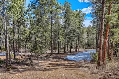 249 Territory Drive, Pine, CO 80470 - Photo 2