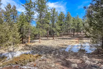 249 Territory Drive, Pine, CO 80470 - Photo 10