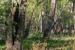 16990 Old Pueblo Rd, Fountain, CO 80817 - Photo 48