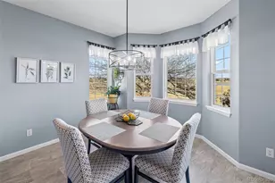 13731 Stone Cir, Broomfield, CO 80023 - Photo 20