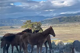 19643 Viking Spirit Wy, San Luis, CO 81152 - Photo 32