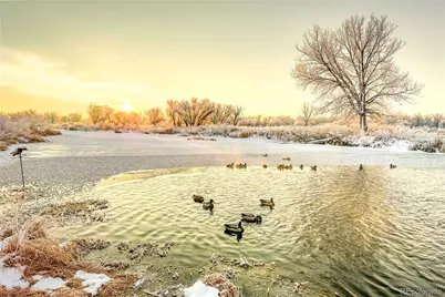 27446 County Road 388, Kersey, CO 80644 - Photo 50