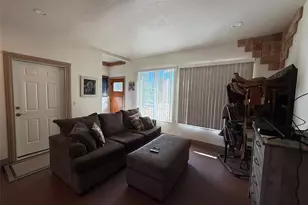 909 Pitchfork Rd, Hartsel, CO 80449 - Photo 10