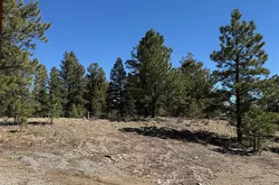 909 Pitchfork Rd, Hartsel, CO 80449 - Photo 20