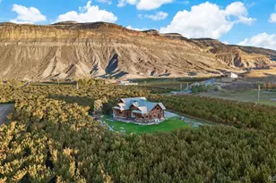 3875 F 3/4 Rd, Palisade, CO 81526 - Photo 48