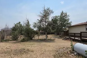 26388 Bassam Cir, Buena Vista, CO 81211 - Photo 24