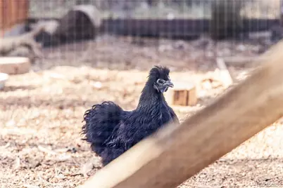 1712 Stonehenge Drive, Lafayette, CO 80026 - Photo 38