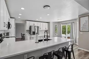435 Rose Finch Circle, Highlands Ranch, CO 80129 - Photo 8