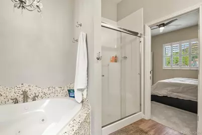 1105 Bulkey Street, Castle Rock, CO 80108 - Photo 22