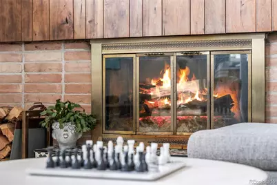 1585 S Elm Street, Denver, CO 80222 - Photo 8