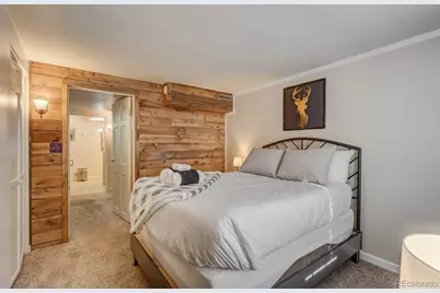 5625 Moosa Road, Cascade, CO 80809 - Photo 24