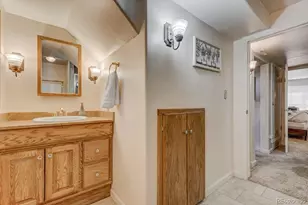 5625 Moosa Rd, Cascade, CO 80809 - Photo 28