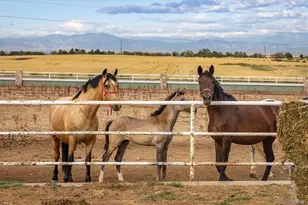 13400 Harvest Rd, Commerce City, CO 80022 - Photo 20