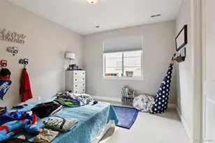 10560 Ladera Dr, Lone Tree, CO 80124 - Photo 22