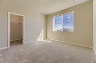 13801 Daffodil Way, Parker, CO 80134 - Photo 18