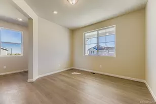 13801 Daffodil Way, Parker, CO 80134 - Photo 10