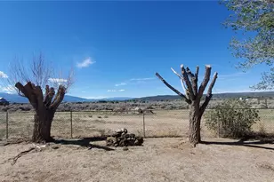 21170 County Road P 6, San Luis, CO 81152 - Photo 6