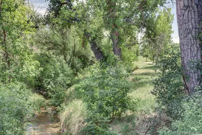 6035 S Milwaukee Way, Centennial, CO 80121 - Photo 24