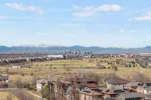 3139 Emporia St, Denver, CO 80238 - Photo 10