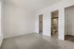 428 Agoseris Wy, Castle Rock, CO 80104 - Photo 8