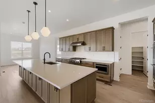 428 Agoseris Wy, Castle Rock, CO 80104 - Photo 6