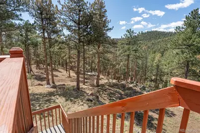 442 Ruby Forest Trail, Evergreen, CO 80439 - Photo 38