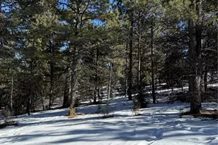 29885 County Rd 46AA, Villa Grove, CO 81155 - Photo 6