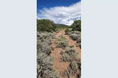 Stevenson, San Luis, CO 81152 - Photo 2