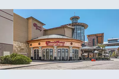 8987 Yellowcress Street, Littleton, CO 80125 - Photo 6