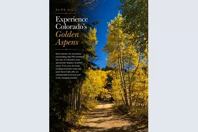 01 Alps Hill Road, Central City, CO 80427 - Photo 22