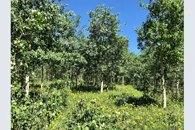 01 Alps Hill Road, Central City, CO 80427 - Photo 18