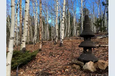 01 Alps Hill Road, Central City, CO 80427 - Photo 2