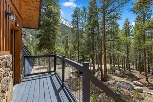 12715 E State Highway 82, Twin Lakes, CO 81251 - Photo 42