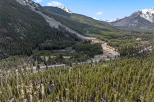 12715 E State Highway 82, Twin Lakes, CO 81251 - Photo 2