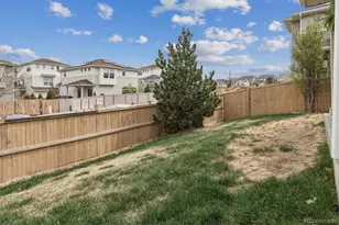 3712 Celestial Ave, Castle Rock, CO 80109 - Photo 26