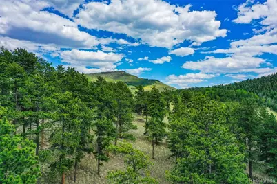 1259 County Rd 122, Guffey, CO 80820 - Photo 22