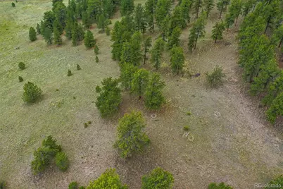 1259 County Rd 122, Guffey, CO 80820 - Photo 34