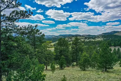 1259 County Rd 122, Guffey, CO 80820 - Photo 16