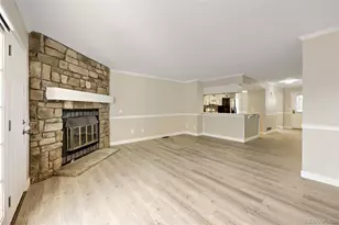 10705 Longs Way, Parker, CO 80138 - Photo 8