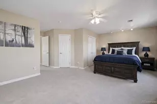 3712 Pecos Trail, Castle Rock, CO 80109 - Photo 12