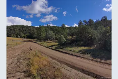 176 Arnold Drive, Cotopaxi, CO 81223 - Photo 18