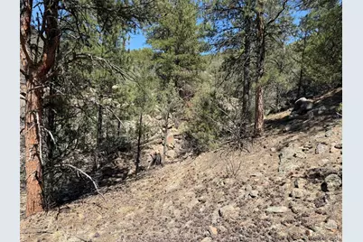 176 Arnold Drive, Cotopaxi, CO 81223 - Photo 30