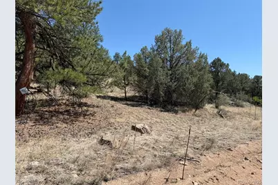 176 Arnold Drive, Cotopaxi, CO 81223 - Photo 12